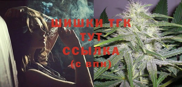 стафф Богданович